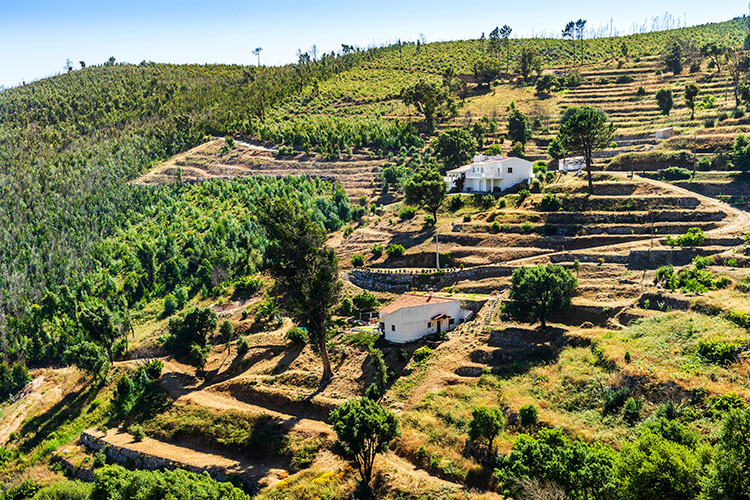 Gönguferð í Algarve 25. maí – 1. júní 2026