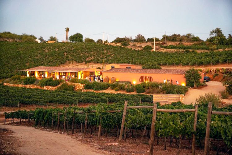 Vínsmökkunarferð í Algarve 
