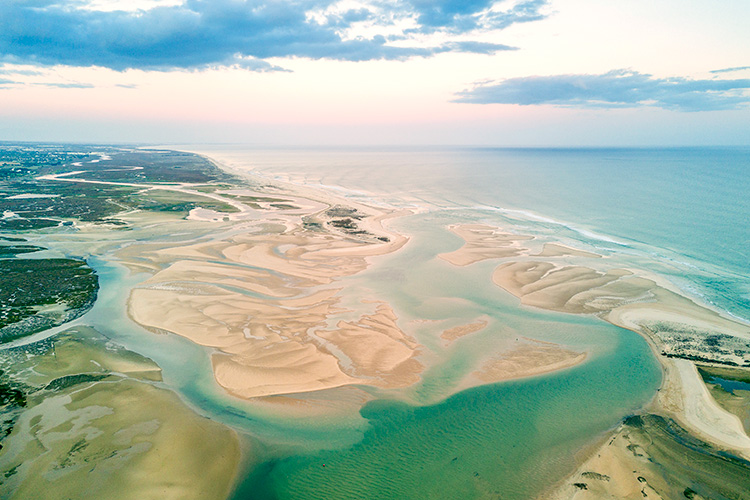 Vínsmökkunarferð í Algarve 
