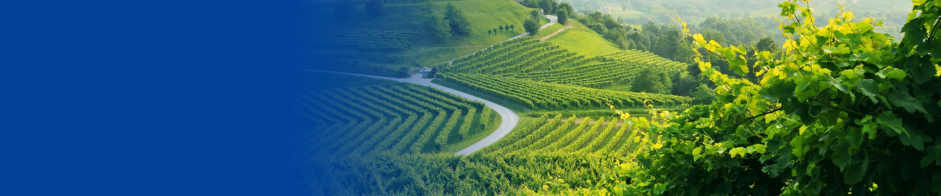 Rafhjólaferð Prosecco og Jesolo