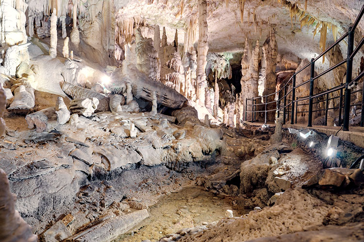 Frá Feneyjum til Adríahafsins 24. maí – 3. júní 2026